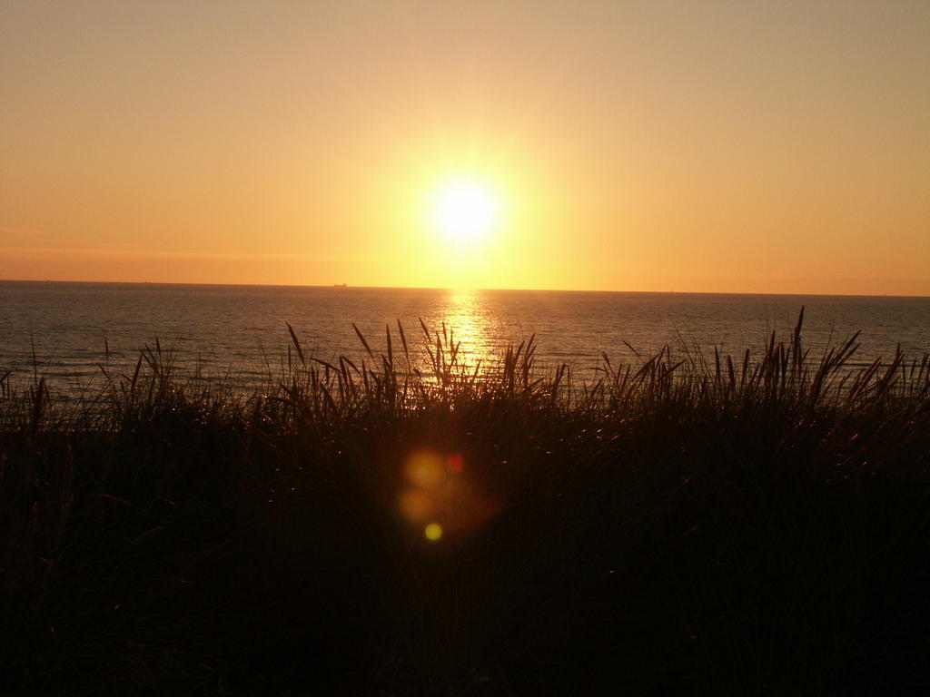 Westenwind Egmond aan Zee Exterior photo